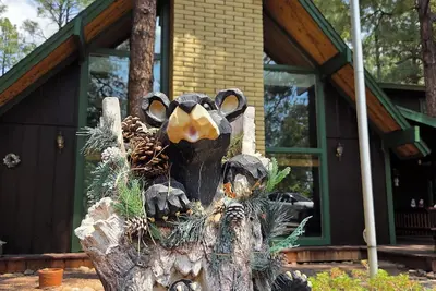 Image de Big Bear Cabin, 4 Bdrm 4 Bath, Pinetop-Lakeside