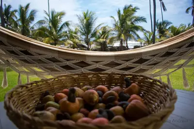 Image de Espace et confort, directement sur la mer, pour toute la famille