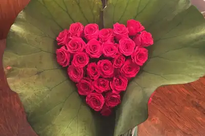 Image de Parc Central Au Sud Du Coeur De Nyc