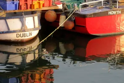Image de Une propriété élégante et sophistiquée située au centre de Howth
