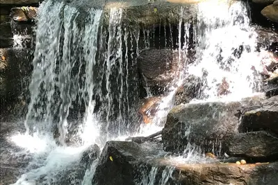 Image de Vue sur la cascade, Bain à remous, Animaux bienvenus, 4 invités - La cabine de Brett's Falling Waters