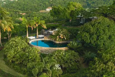 Image de L'ultime escapade dans les Caraïbes