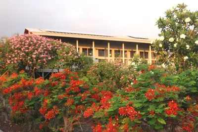 Image de Hawaiian Ocean View de Kepharts