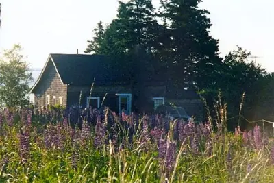 Image de Summer Cottage Dans Exquisite Coastal Maine spot