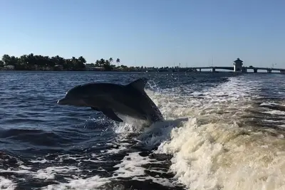 Image de Pet-Friendly / Family-Friendly Waterfront Location de vacances + Dockage bateau gratuit!