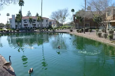 Image de Belle Vue De Condo Sur Le Lac - Mesa, Az - 3 chambres - 2 salles de bain - (6 personnes)