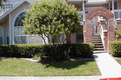 Image de Disney World Fun à louer - Lieu de vacances en famille