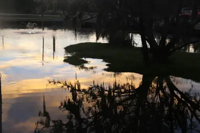 Image de Island Paradise: St Simons Island Cottage; Luxe abordable!