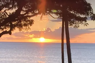 Image de Une vue imprenable sur l'océan Pacifique