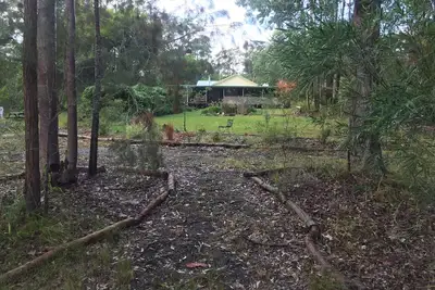 Image de Ferme Fingal, animaux domestiques, Bulahdelah, Myall Lakes, plage