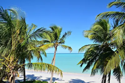 Image de Beach View grand deux lits / salle de bain directement sur la plage de Spanish Wells