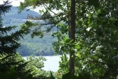 Image de Cabine Lucerne-dans-Maine originale