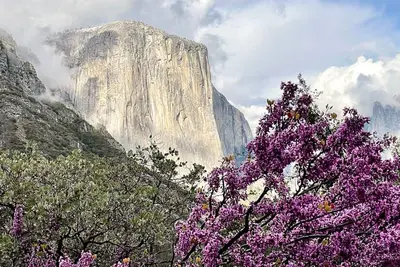 Image de Grande maison de vacances, ancien B&B, à l'intérieur de Yosemite