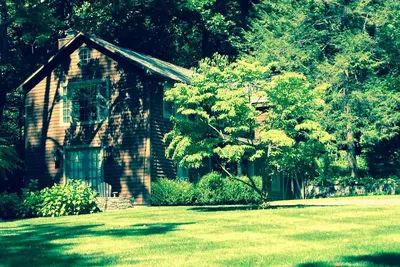Image de Magnifique chalet et accès au bord de l'eau