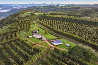 Image de Hilltop Farm Stay - Votre détente ultime