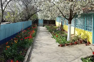 Image de Casa bunicilor din Jurilovca - Maison de grand-mère