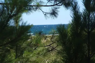 Cozy Cottage sur le lac Supérieur