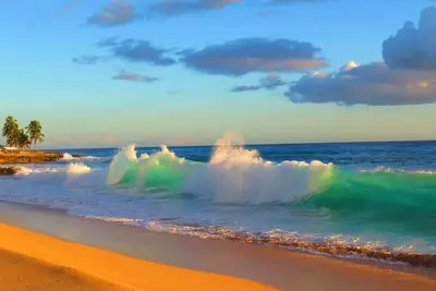 Image de 1 Br + Den ~ Ocean View ~ Piscine, Internet, Câble