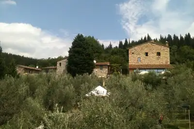 Image de relaxation totale au milieu des oliviers pittoresques près de florence