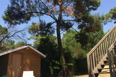 Image de Villa du Cottage - Cap ferret - plage des Américains