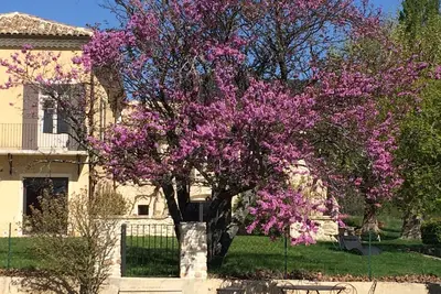 Image de Grand mas rénové en Drôme provençale pour plusieurs familles ou amis.