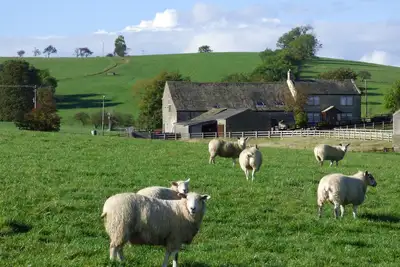 Image de Isolement rural avec vue panoramique sur la campagne, chiens bienvenus, WiFi gratuit.