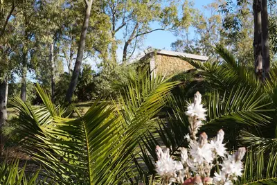 Image de Orosei Maison de campagne immergée dans la tranquillité d'une plantation d'eucalyptus