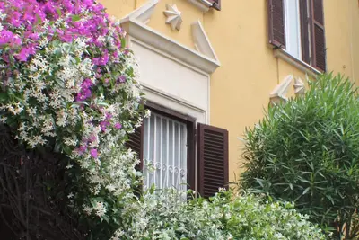 Image de Rome: 'Villa Liberty' - centrale/jardin - entre Trastevere et le Vatican