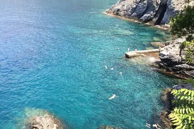 Image de Studio - Chambre avec vue sur la mer incroyable Dolphin