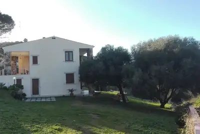 Image de Maison vue mer entourée de verdure