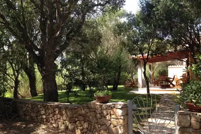 Image de San Teodoro: Maison / villa - San Teodoro