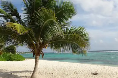 Image de Grand Cayman - Luxueux condo de 2 chambres et 2 salles de bain, magnifique terrasse avec vue sur la mer