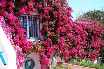 Image de Casa Miramar - 2 chambres, piscine privée, près de la plage et du centre