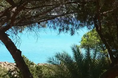Image de grand appartement dans villa sur la mer avec terrasse et jardin