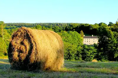 Image de Ferme située dans une belle campagne, à proximité des plages tranquilles et désertes