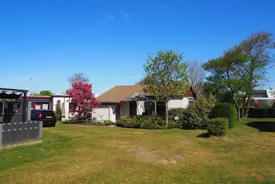 Image de Bungalow confortable et ensoleillé à la plage, les dunes et les champs pleins de fleurs