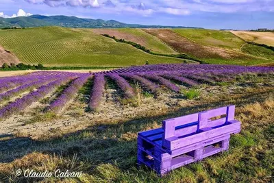 Image de Agriturismo Mandriato by Toscana Family Holidays