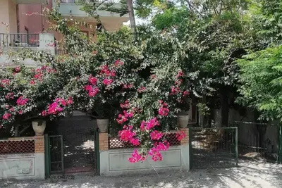 Image de maison lamanna bâtiment rose