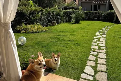 Image de Maison / villa - Muravera