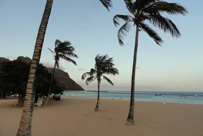 Image de Coral Mar, bel appartement, Rdc avec jolie terrasse, calme, piscine, mer à 200m