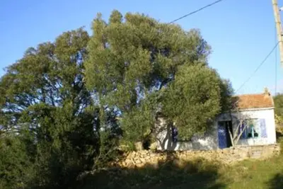 Image de Serragia Rocapina: Maison avec jardin