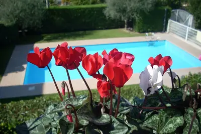 Image de Très joli et confortable appartement avec piscine pour vacance de relax. . . . . Wi-Fi libre. . . . . . .
