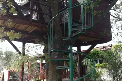 Image de Maison  pour vacances \"Diana\" Medulin