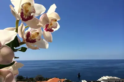 Image de Penthouse 160m2 grand, calme avec vue sur la mer, dans la zone touristique de Funchal