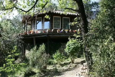 Image de Dans le Parc National des Cévennes, une maison dans les arbres.