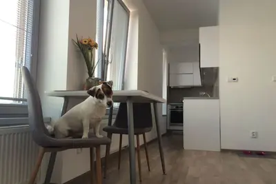 Image de Elf, Appartement Moderne À Kolin, à 5 min du centre