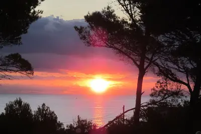 Image de Exclusif moderne appartement à la mer. Patio privé entouré par une forêt de pins.