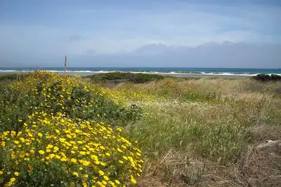 Image de Mer, nature et se détendre: maison de vacances à Stintino - Sardaigne