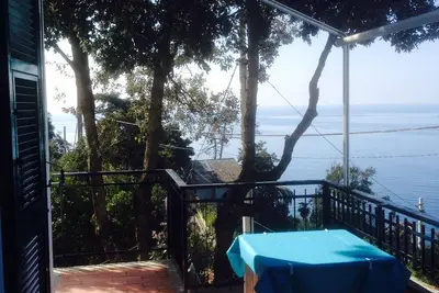 Image de une grande maison avec vue sur la mer et entourée de bois