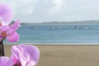 Image de L'Ormeau -Vue Imprenable Sur La Plage De Crozon Morgat